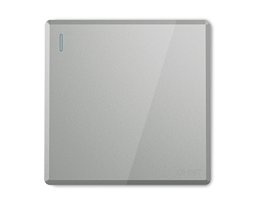 NEW2A大板開關(guān)