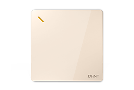 NEW2F大板開關(guān)