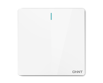 NEW2V大板開關(guān)