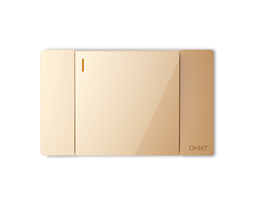 NEW5C大板開關(guān)