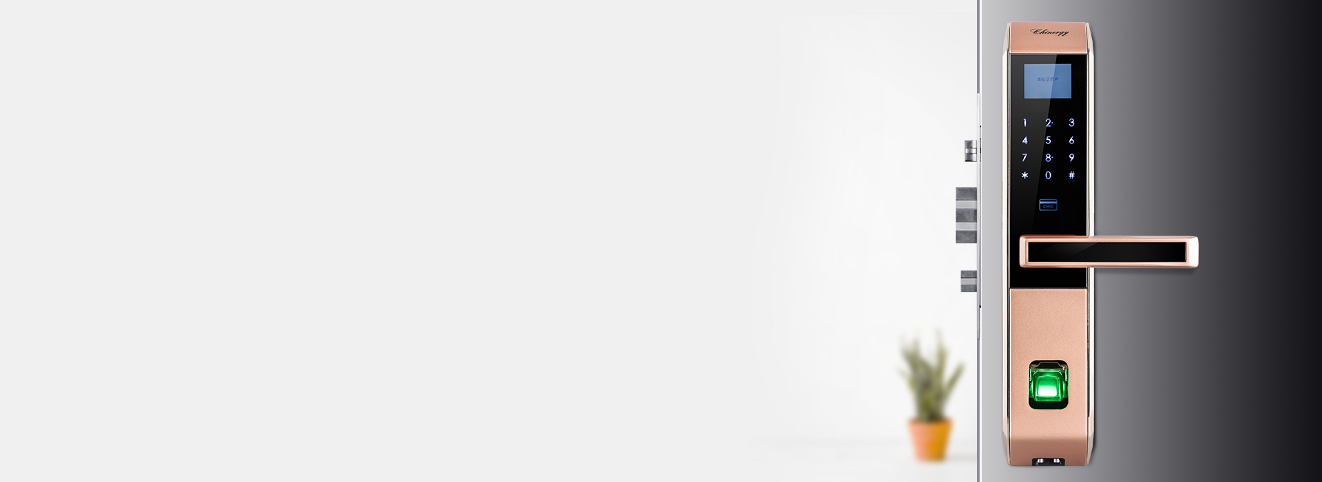 虛位密碼保護(hù)，虛實(shí)結(jié)合
 正泰智能鎖LO...