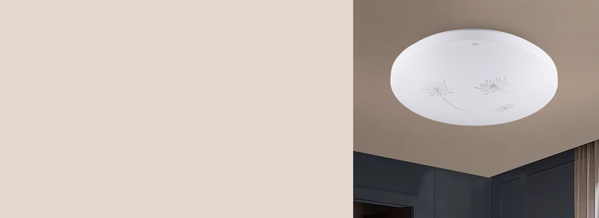 蒲公英款
 爛漫風(fēng)光，沉醉在飄飛的思緒中...