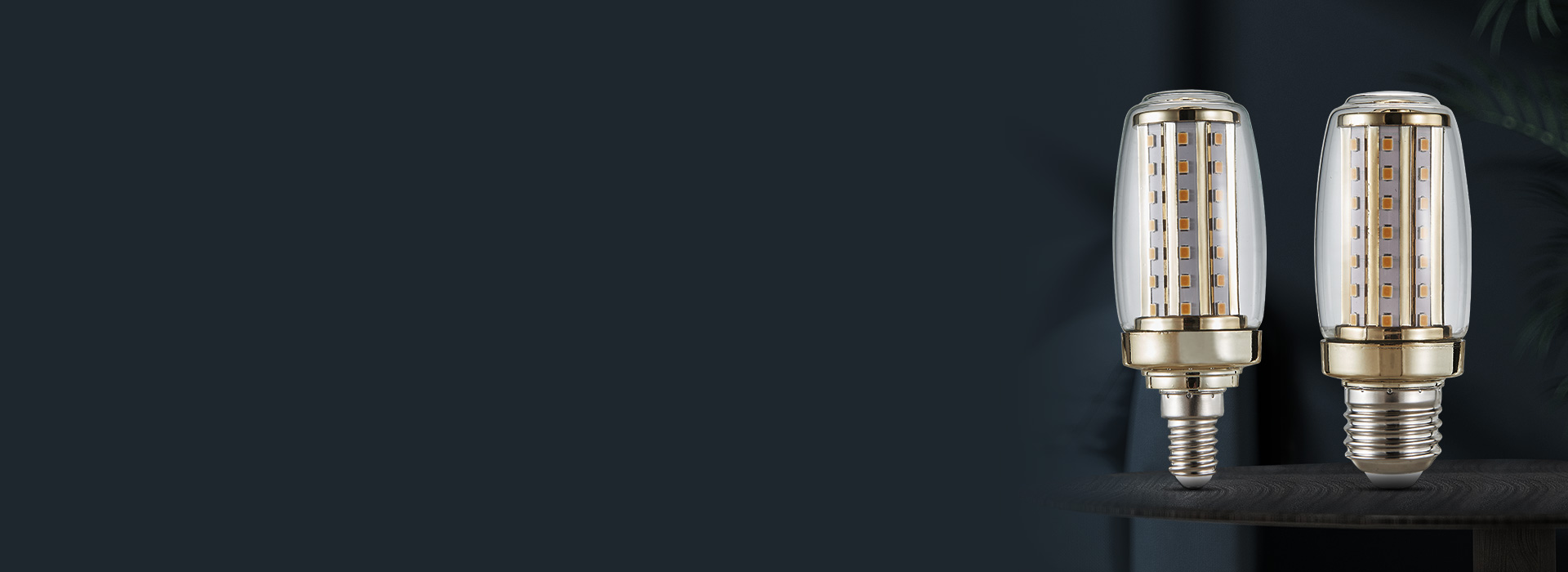 玉米燈：QP28/29系列
 高亮節能，...