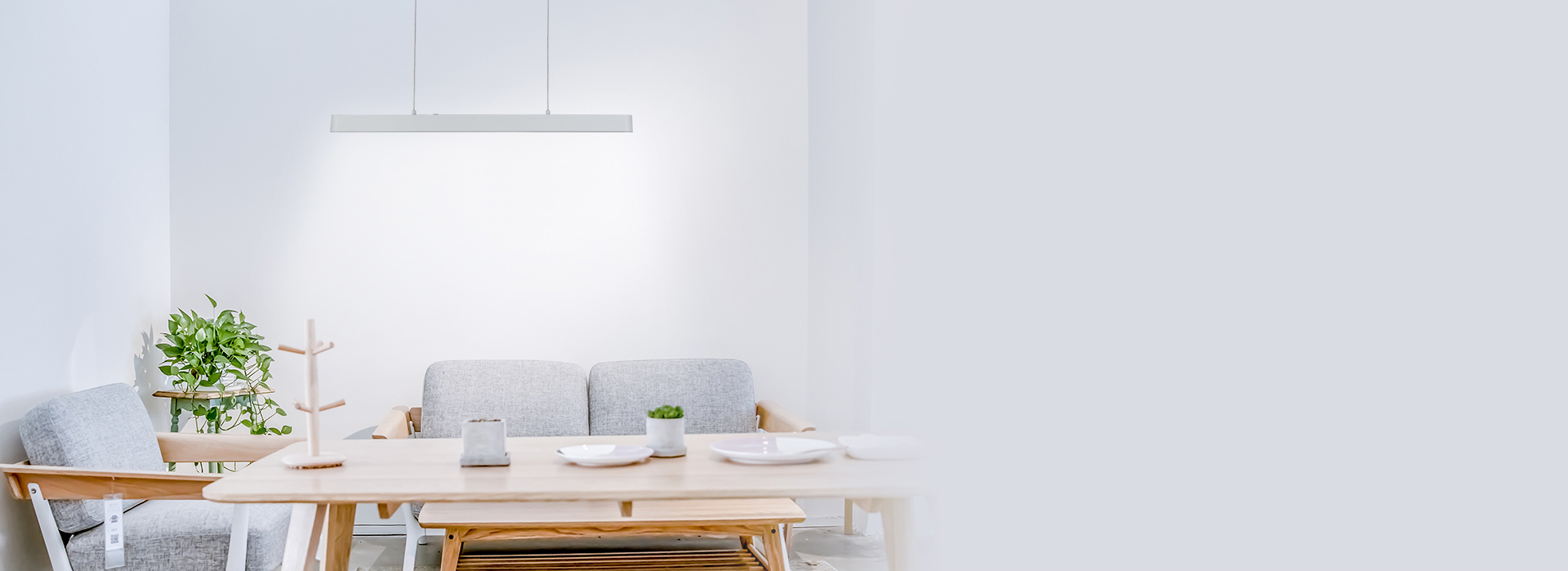 4000K自然白光，柔和照亮您的餐桌
 ...