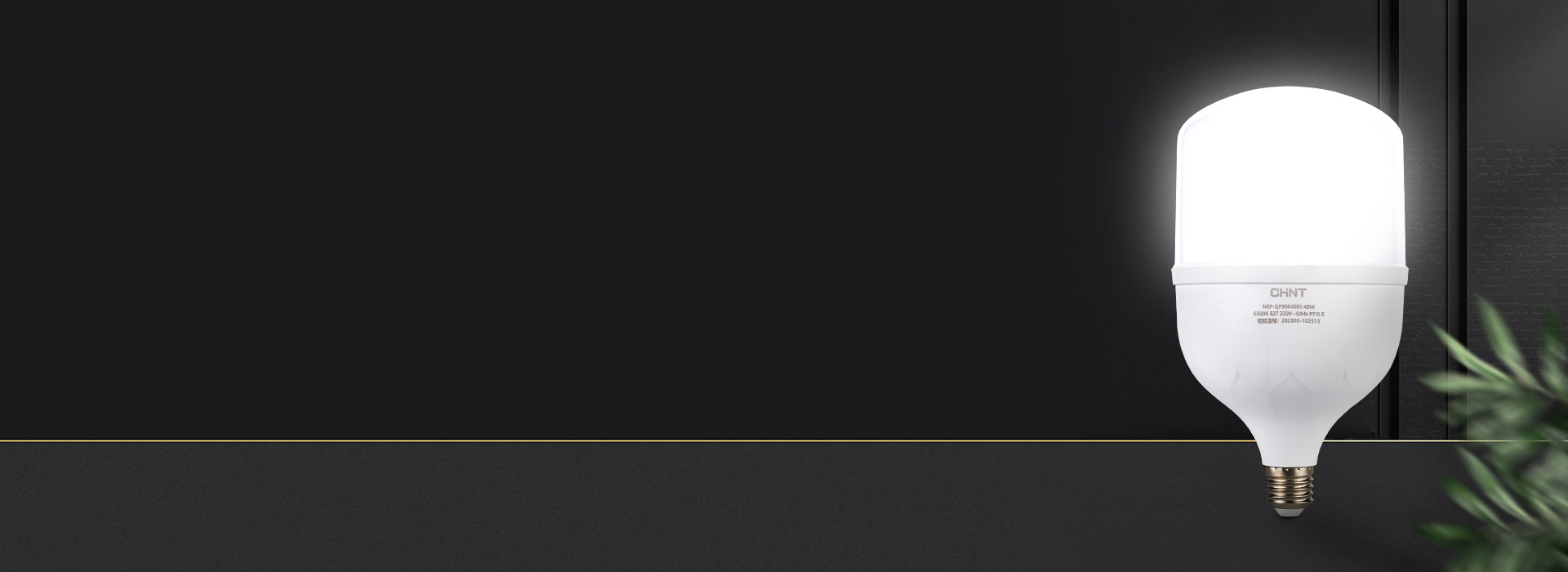 球泡：十亮系列
 高亮節(jié)能，散熱快。
 ...