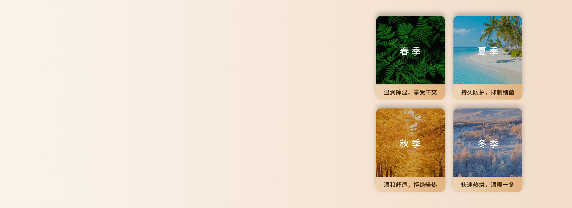 陽光體驗，全年舒享
 一年四季，享受陽光...