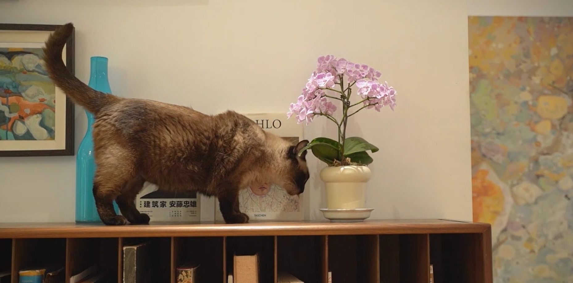 正泰T7開關業主探訪錄（2）